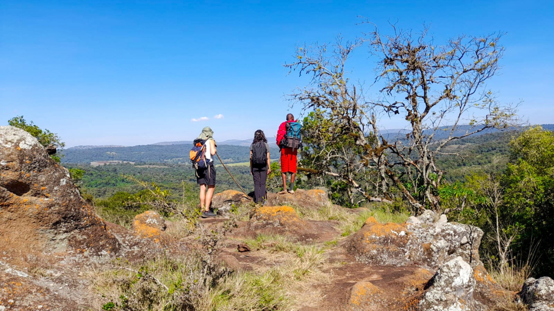 Explore Amboseli Wildebeest Camp - Africa Wild Stories